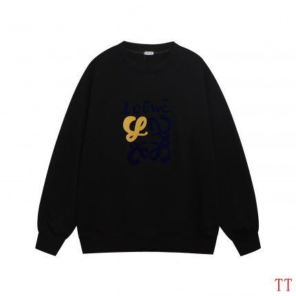 Loewe Hoodies in 225196