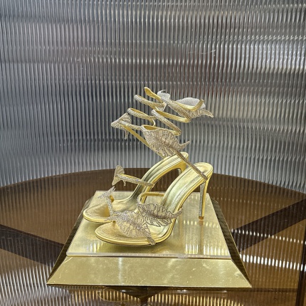 René Caovilla Shoes in 226009