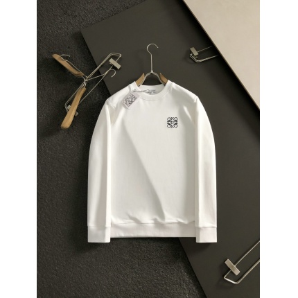 Loewe Hoodies in 226184