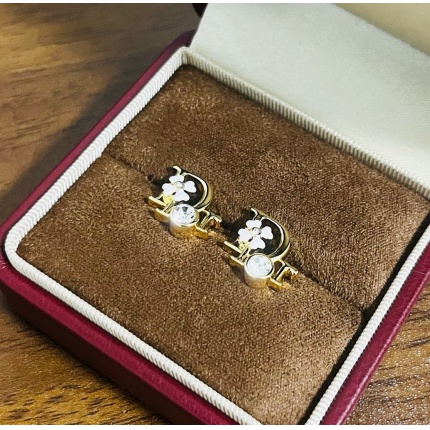 Cheap Dior Earring in 226359, $35 USD- [IB226359] - Replica Dior Earring