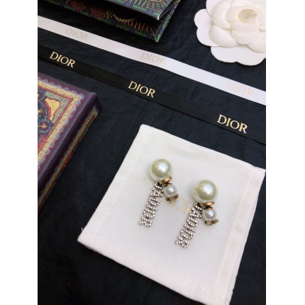 Dior Earring in 226379