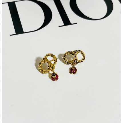 Dior Earring in 226420