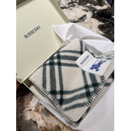 Burberry Cashmere Scarf in 227124