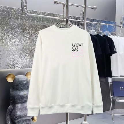Loewe Hoodies in 227228