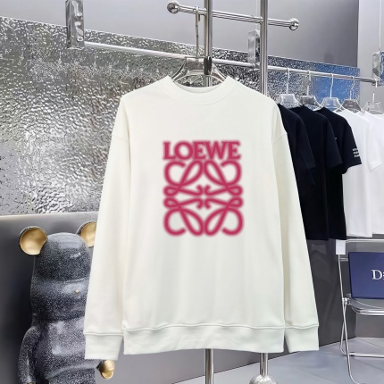 Loewe Hoodies in 227234
