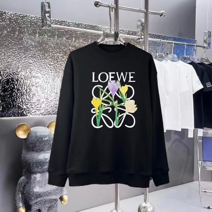 Loewe Hoodies in 227267