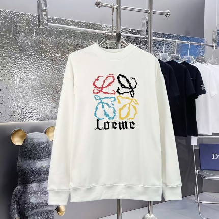 Loewe Hoodies in 227268