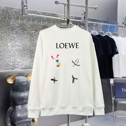 Loewe Hoodies in 227286