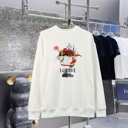 Loewe Hoodies in 227288