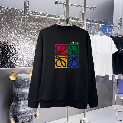 Loewe Hoodies in 227291
