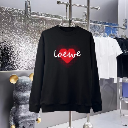 Loewe Hoodies in 227305