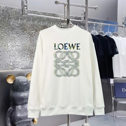 Loewe Hoodies in 227313