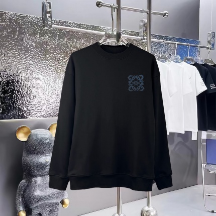 Loewe Hoodies in 227346