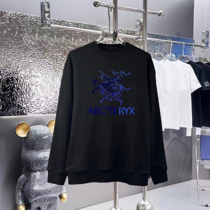 ARC TERYX Hoodies in 228436