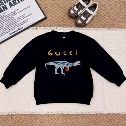 Cheap Hoodies in 228473, $35 USD- [IB228473] - Replica Hoodies