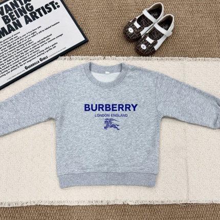Cheap Burberry Children's Hoodies in 228516, $60 USD- [IB228516] - Replica Hoodies