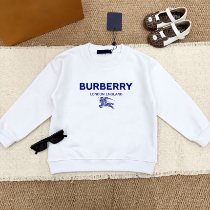 Cheap Burberry Children's Hoodies in 228517, $60 USD- [IB228517] - Replica Hoodies