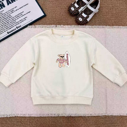 Cheap Burberry Children's Hoodies in 228528, $60 USD- [IB228528] - Replica Hoodies