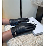 Gloves in 220678