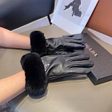 Gloves in 220679