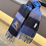Burberry Cashmere Scarf in 222154
