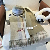 Burberry Cashmere Scarf in 222198