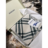 Burberry Cashmere Scarf in 227124