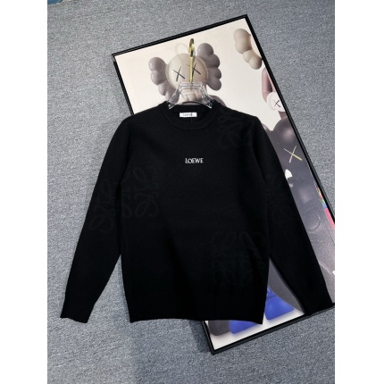 Loewe Sweaters in 229346