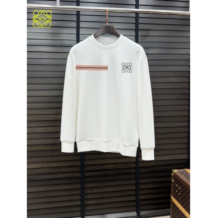 Loewe Hoodies in 231516
