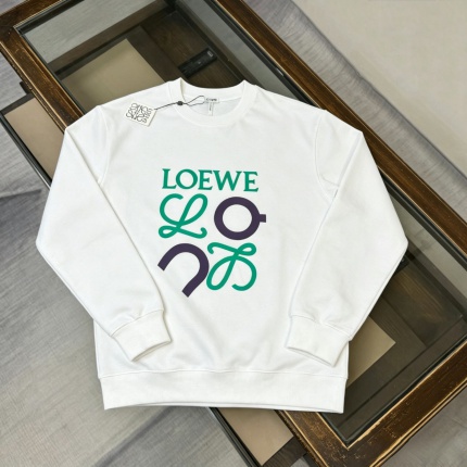 Loewe Hoodies in 232157