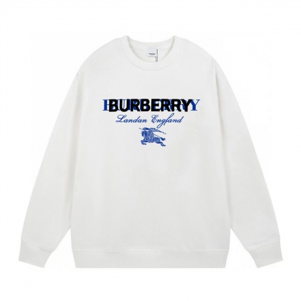 Cheap Burberry Hoodies for Men in 233988, $40 USD- [IB233988] - Replica Burberry Hoodies for Men